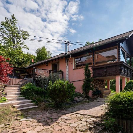 Le Grand Nichoir De La Colline - Parking - Wifi Villa Mutzig Exterior photo