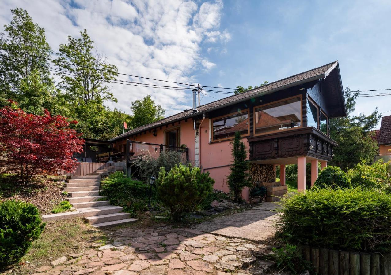 Le Grand Nichoir De La Colline - Parking - Wifi Villa Mutzig Exterior photo